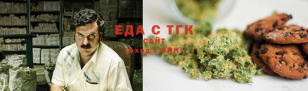 прущие грибы Няндома