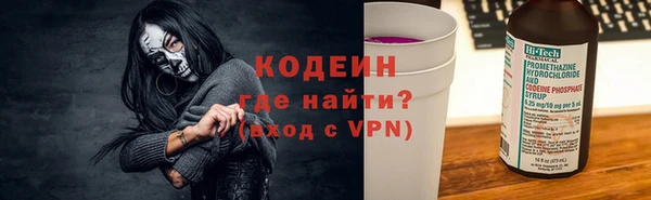 прущие грибы Няндома